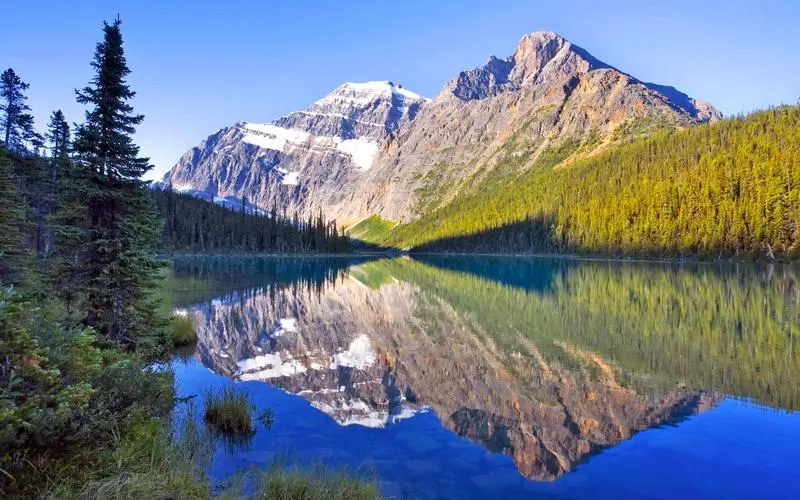 智能系统智能